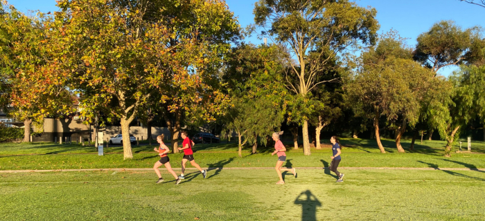 Private Run Coaching, Group Run Coach, Athletes training outdoors, Athletics Coaching Melbourne - Run Ready
